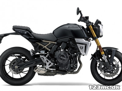 Suzuki GSX-8T