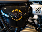 2026 Triumph Bonneville T 100