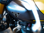 2026 Triumph Scrambler 900