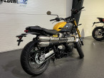 2026 Triumph Scrambler