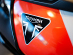2026 Triumph Tiger 900 Rally Pro