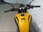 2026 Triumph Trident 660