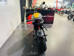 2026 Triumph Trident 660