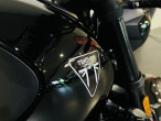 2026 Triumph Trident 800