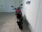 2026 Triumph Trident 800