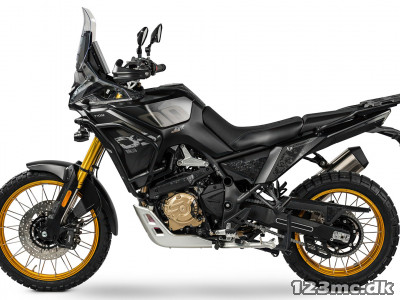 Voge DS 800 Rally