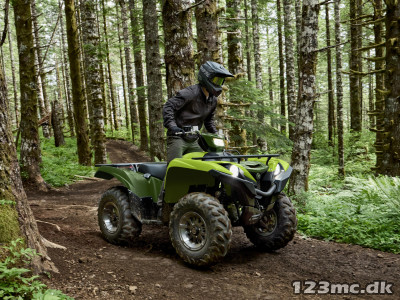 Yamaha Grizzly 700 EPS