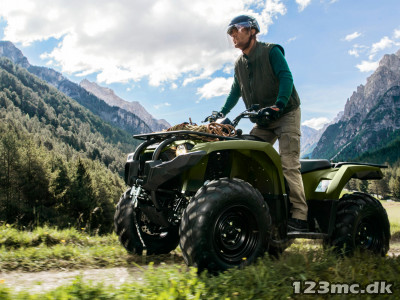 Yamaha Kodiak 450