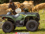 2026 Yamaha Kodiak 700 EPS