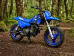 2026 Yamaha PW 50