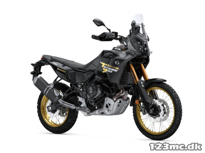 Yamaha Ténéré 700 World Raid