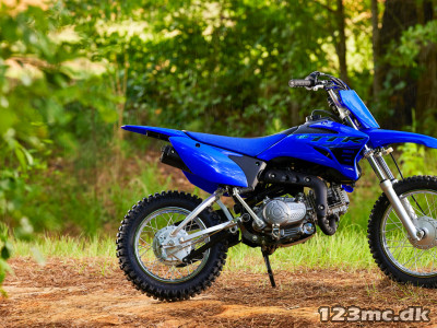 Yamaha TTR 110