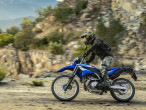 2026 Yamaha WR 125 R