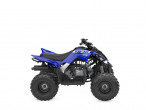 2026 Yamaha YFM 110 R