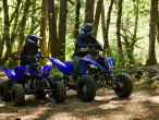 2026 Yamaha YFM 110 R