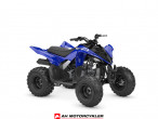 Yamaha YFM 110 R Racing Blue