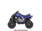 2026 Yamaha YFM 110 R 2026 Yamaha YFM 110 R