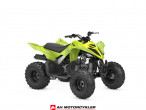 Yamaha YFM 110 R Acid Green