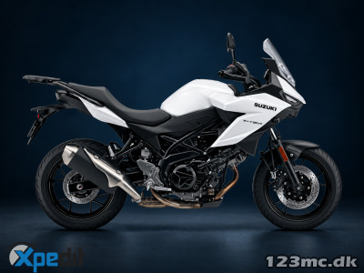 Suzuki SV-7 GX