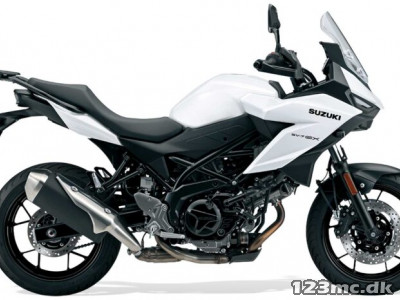 Suzuki SV-7 GX