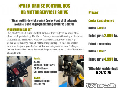 Elektronisk Cruise Control til udvalgte modeller.