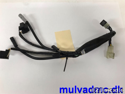 Ledningsnet forlygte