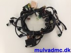 Ledningsnet til Suzuki SV 650 S