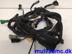 Ledningsnet til Suzuki GSF 600 S Bandit