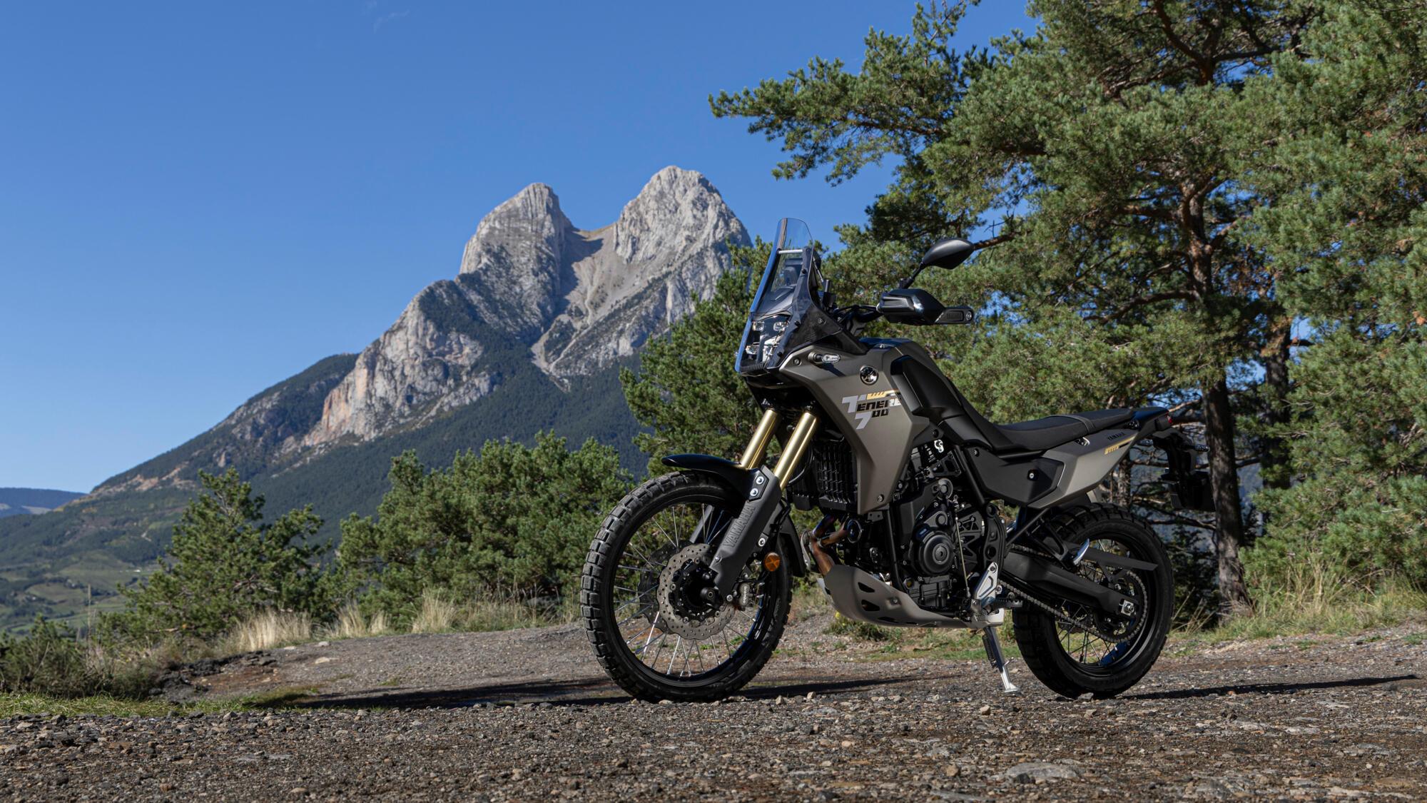 Yamaha Ténéré 700 Frozen Titanium — billede 11