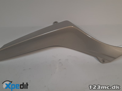 BMW V. kåbeside primed R1200R 46637697195