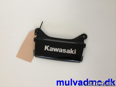 Plastdel over baglygte