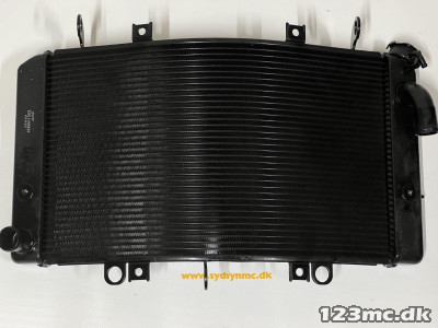 17710-15H00 (17710-15H10) RADIATOR ASSY, WATER