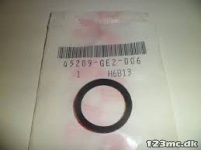 45209-GE2-006	SEAL,PISTON
