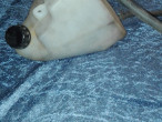 ekspansionsbeholder, 430781160 til Kawasaki GPZ 900 R