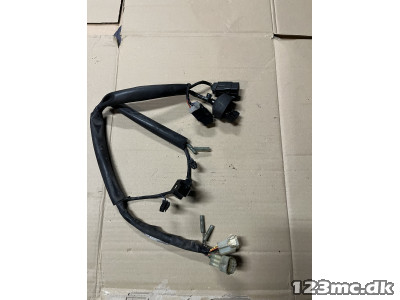 Ledningsnet forlygte