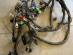 Ledningsnet med ECU til Suzuki GSF 600 Bandit