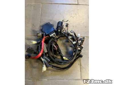 Ledningsnet med ECU
