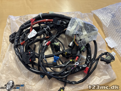 Piaggio WIRING HARNESS