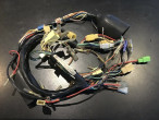 Suzuki TS Ledningsnet