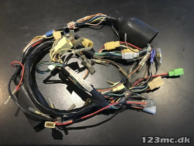 Suzuki TS Ledningsnet