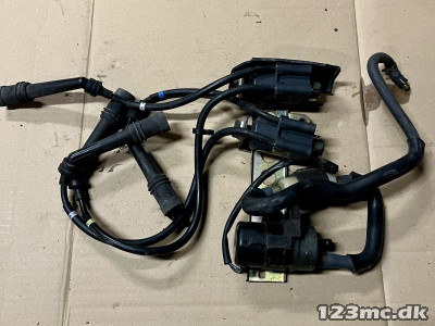 Tændspoler og Benzin pumpe