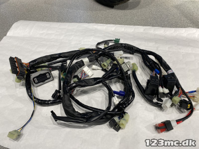 WIRE HARNESS ASSY