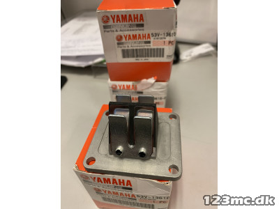 Yamaha Membranhus DT50LC