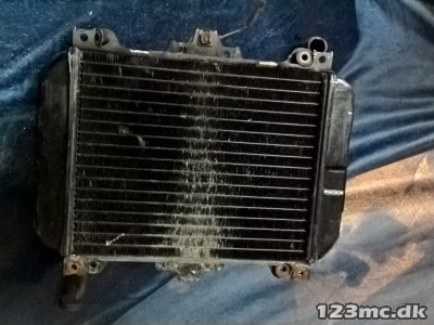 Radiator (med blæser)