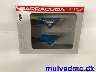 Barracuda blink blå