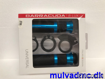 Barracuda blink blå