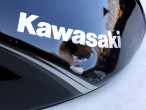 Benzintank til Kawasaki ER 5 årg 96-07