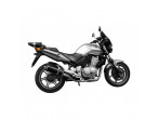 Delkevic Komplet 2-1 Udstødning Carbon CBF 500 (04-08) til Honda