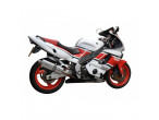DELKEVIC KOMPLET 4-1 UDSTØDNING RUSTFRI YZF600R Thundercat (96-07) til Yamaha