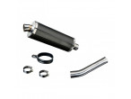 Delkevic Slip-on Udstødning Carbon CBF 500 (04-08) til Honda